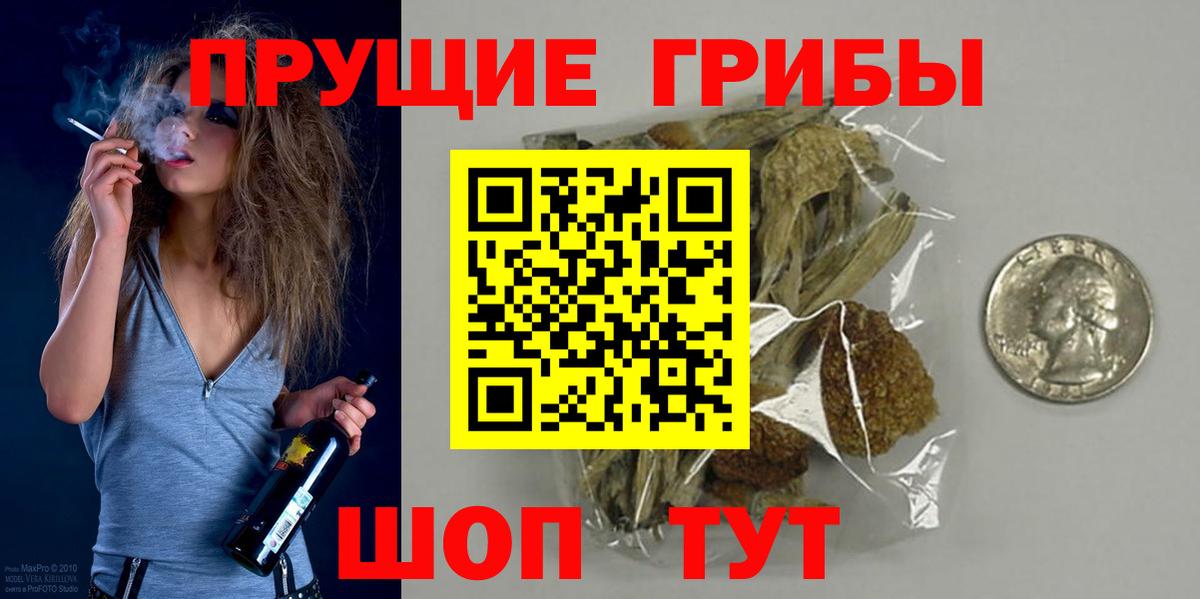 Псилоцибиновые грибы Cubensis  Вход с VPN  Ессентуки 