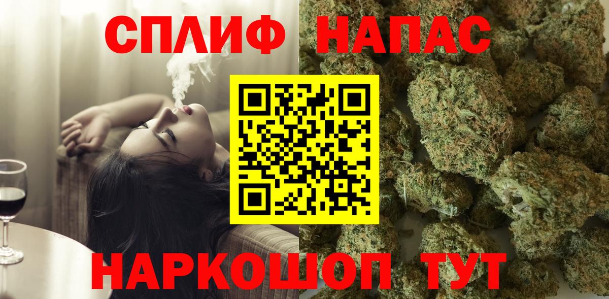 Канабис гибрид Ессентуки